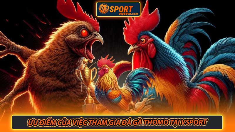 Ưu điểm của việc tham gia đá gà Thomo tại Vsport